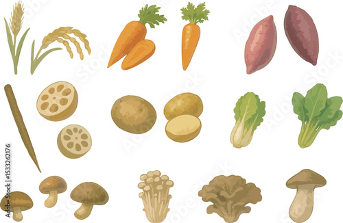 Autumn Vegetables and Mushrooms Illustration Set – Watercolor Style Seasonal Produce
