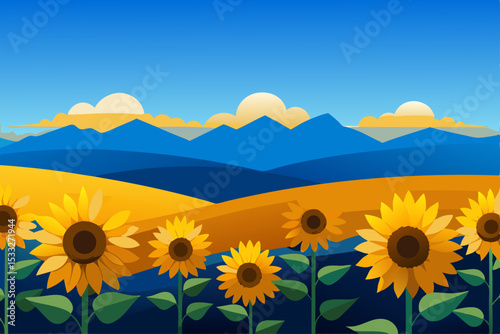 sunflower field and blue sky