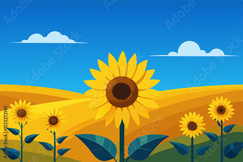 sunflowers on the field