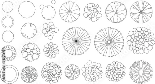 Vector tree top view isolated on white background for landscape plan and architecture layout drawing, elements for environment and garden, cad