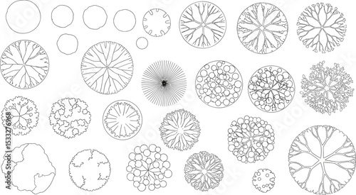 Vector tree top view isolated on white background for landscape plan and architecture layout drawing, elements for environment and garden, cad