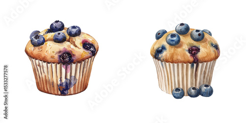 blueberry jam muffin watercolor vector illustration