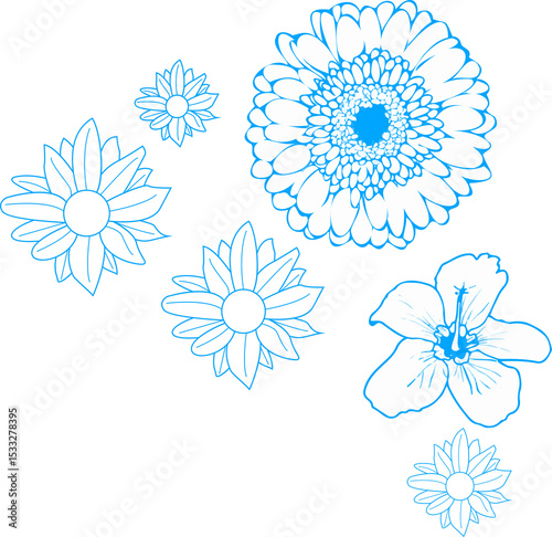 Fototapeta Naklejka Na Ścianę i Meble -  Flat line art flowers floating on transparent background, showing daisy gerbera hibiscus outlines