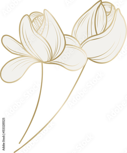Two stylized blossoms are floating on transparent minimal canvas with gilded petals and stems