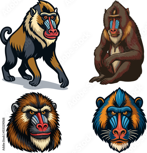 Mandrill mascot vector.eps