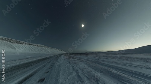 Snowy road under a moonlit sky