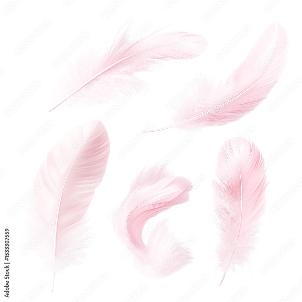 Obraz premium Five delicate pink feathers floating, isolated on transparent background, elegant and airy, perfect for design projects, showcasing softness and lightness, ideal for