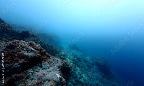 Fototapeta Naklejka Na Ścianę i Meble -  low angle from the sea bed look across a vast coral reef deep in the ocean with no visible surface and heavy blue fog, Generative AI