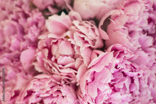 Fototapeta Naklejka Na Ścianę i Meble -  Close-up of fresh pink peony bouquet in soft light, full bloom petals with romantic floral texture
