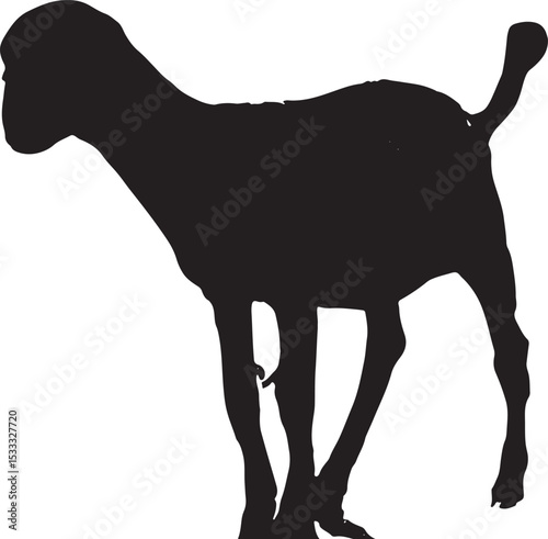 Baby Goat Kid Silhouette 
