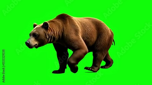Grizzly BEAR Walkcycle Font Green Screen 3D Rendering Animation, Generative AI