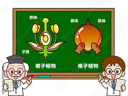 黒板で被子植物と裸子植物の説明をする博士の素材