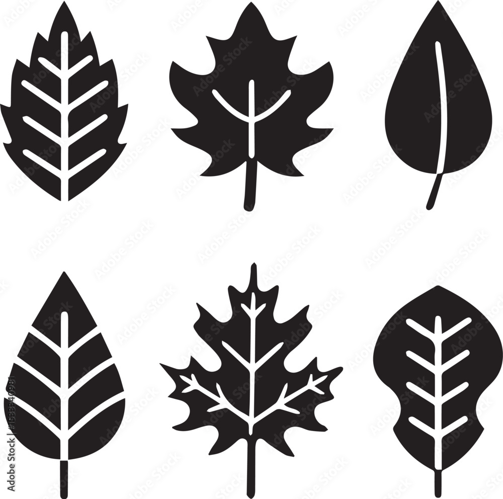 Fototapeta premium leaves silhouette vector set, set of leaves illustration vector, leaves vector black and white