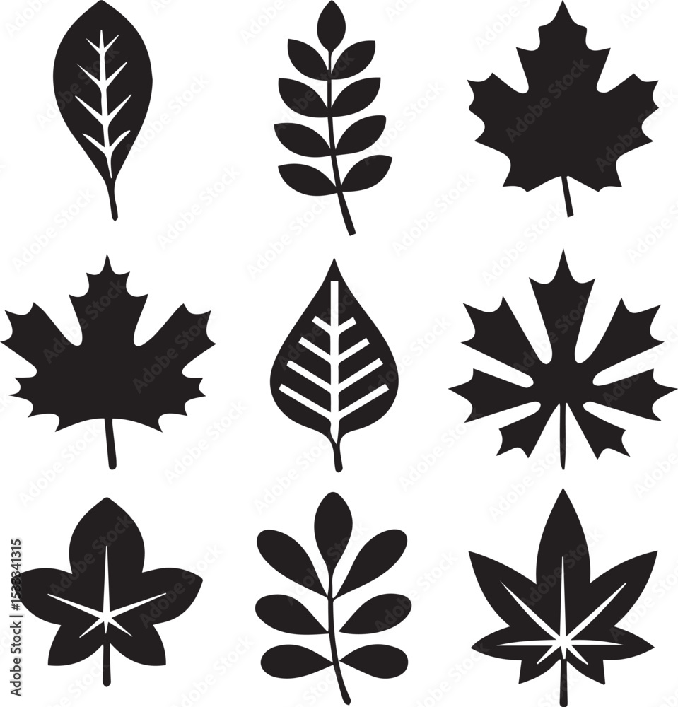 Fototapeta premium leaves silhouette vector set, set of leaves illustration vector, leaves vector black and white