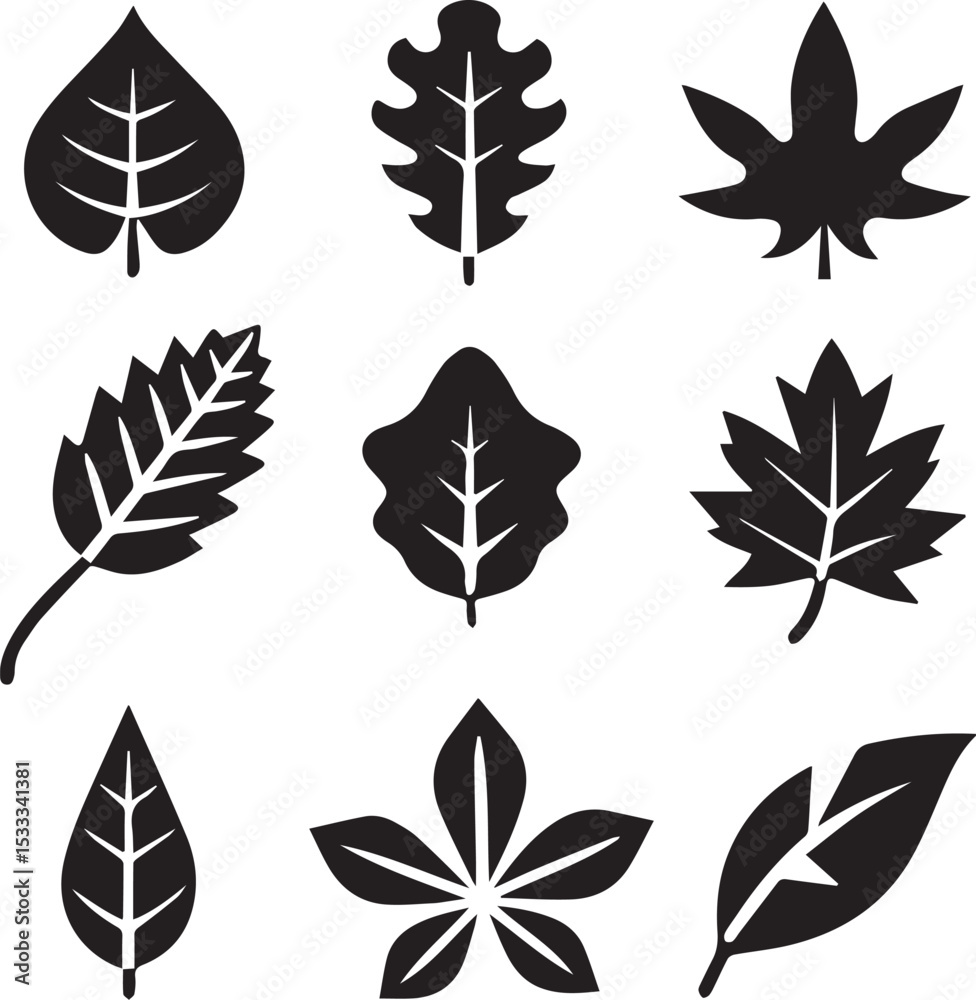 Fototapeta premium leaves silhouette vector set, set of leaves illustration vector, leaves vector black and white