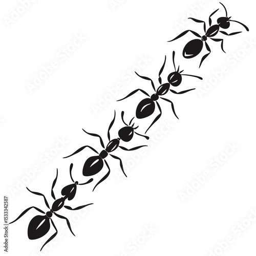 Four ants in a line silhouette