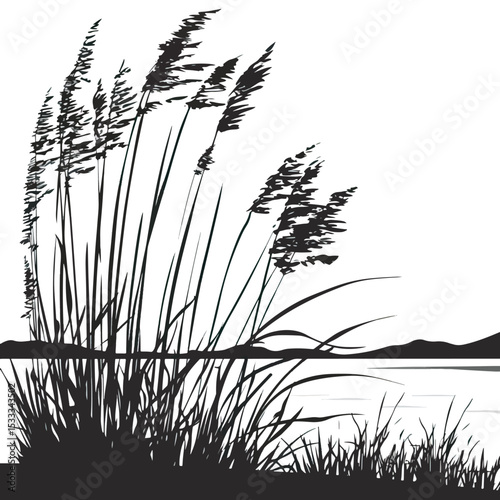 Reeds swaying by a lakeside. silhouette illustration