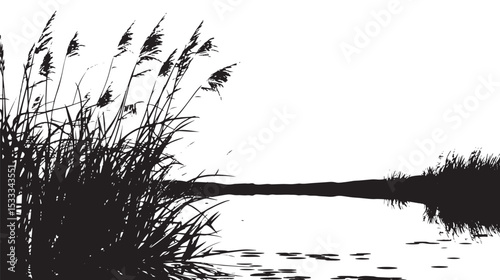 Reeds swaying by a lakeside. silhouette illustration