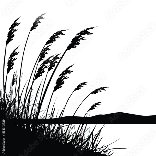 Reeds swaying by a lakeside. silhouette illustration