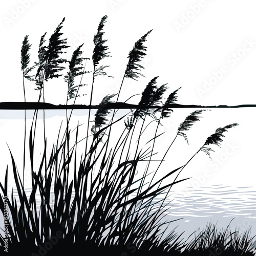 Reeds swaying by a lakeside. silhouette illustration