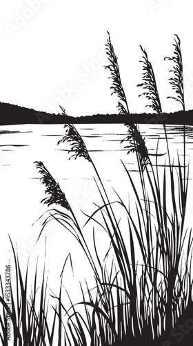Reeds swaying by a lakeside. silhouette illustration
