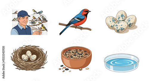 Illustration showcasing bird keeping with a man, bird cage, bird on branch, eggs, nest, food, and water