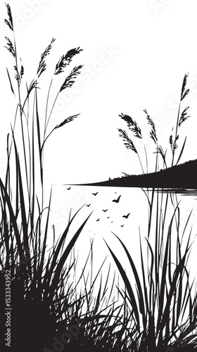 Reeds swaying by a lakeside. silhouette illustration