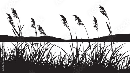 Reeds swaying by a lakeside. silhouette illustration