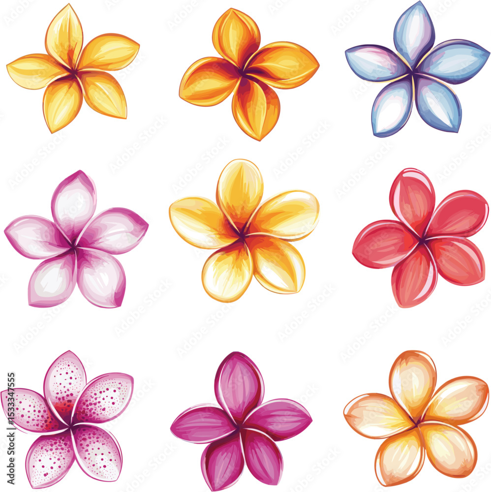 Obraz premium set of frangipani flower petals with different shapes and colors isolated on white background