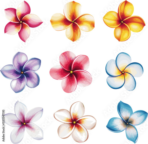 set of colorful frangipani flower petals, vector illustration