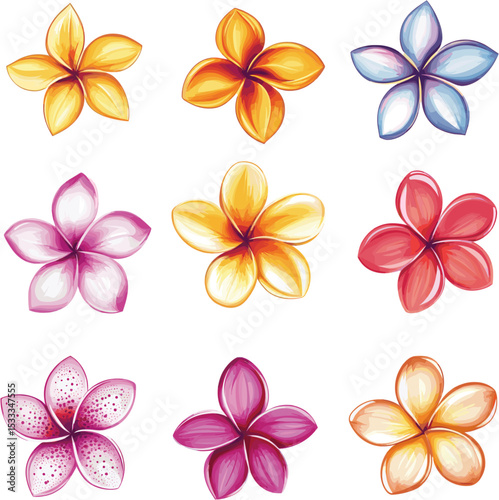set of frangipani flower petals with different shapes and colors isolated on white background
