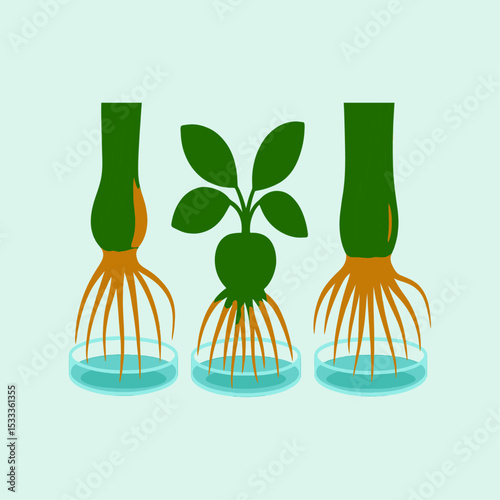 Sustainable Water Gardening ? Hydroponic Plants Thriving Naturally.eps