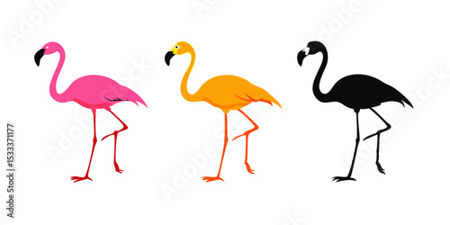 pink flamingo birds