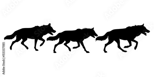 silhouette of foxes