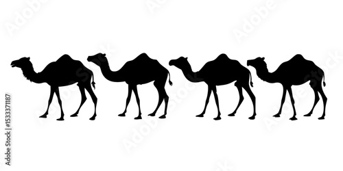 camel on white background