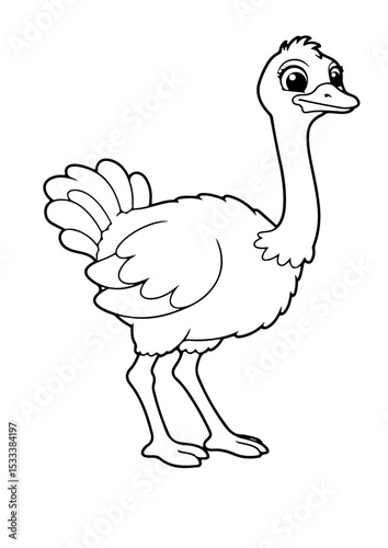 ostrich cartoon outline line art vector illustration for coloring page for chidren's kids, transparent background