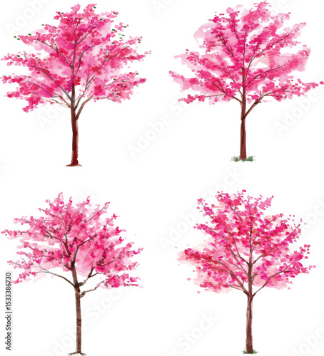 Set of hand drawn watercolor trees illustrations, bushes and flowers isolated on white. Collection of various hand painted plants
