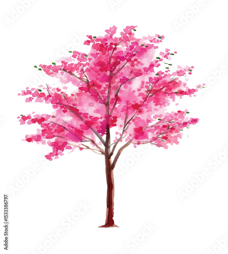Set of hand drawn watercolor trees illustrations, bushes and flowers isolated on white. Collection of various hand painted plants