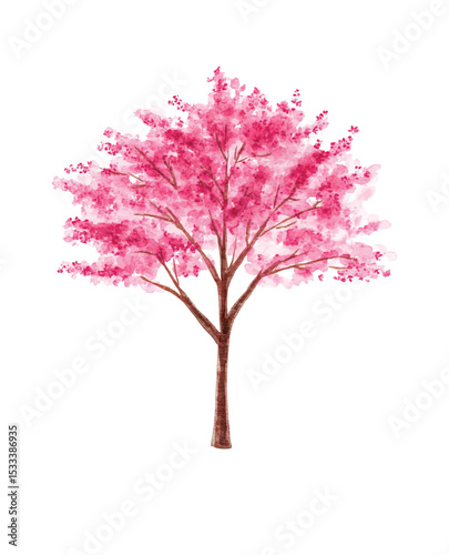 Set of hand drawn watercolor trees illustrations, bushes and flowers isolated on white. Collection of various hand painted plants