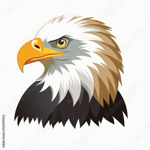 american bald eagle