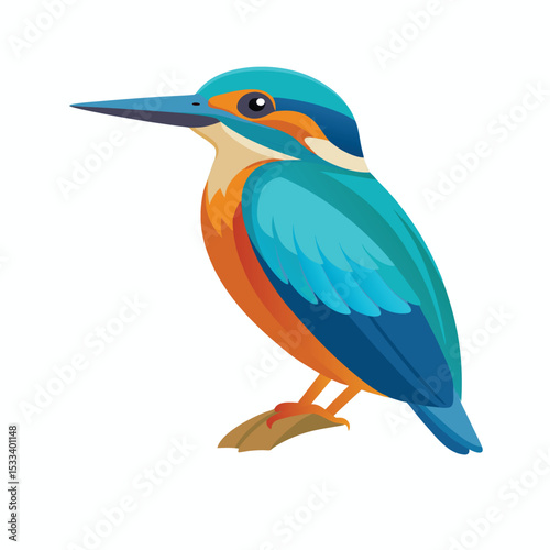 Kingfisher on white background 
