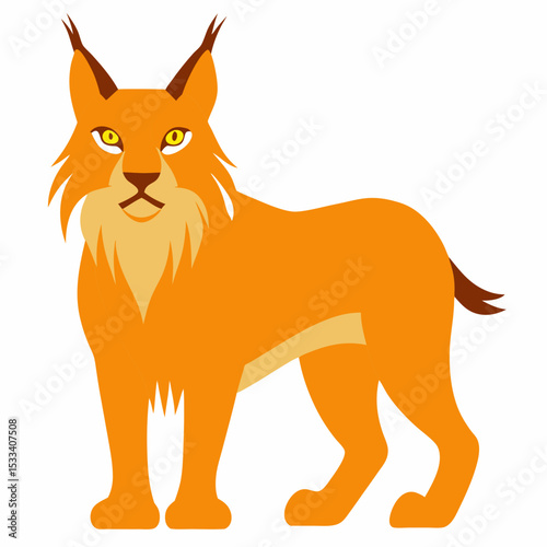 Lynx on white background 