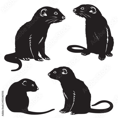 Ferrets silhouette isolated in White background