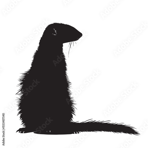 Ferrets silhouette isolated in White background