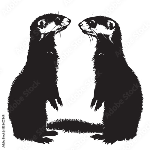 Ferrets silhouette isolated in White background