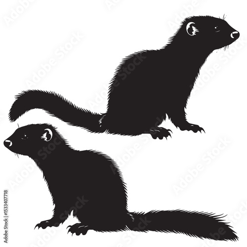 Ferrets silhouette isolated in White background
