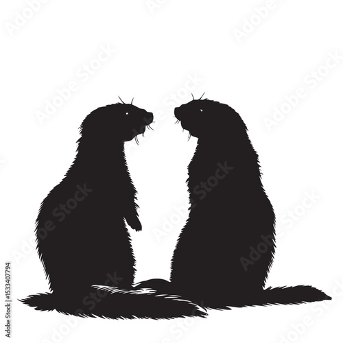 Ferrets silhouette isolated in White background