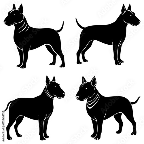Four black bull terriers in various poses with white outlines against a white background image design
