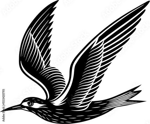 Black Tern Seabird silhouette - Vector illustration Perfect for Tattoo or Logo Design