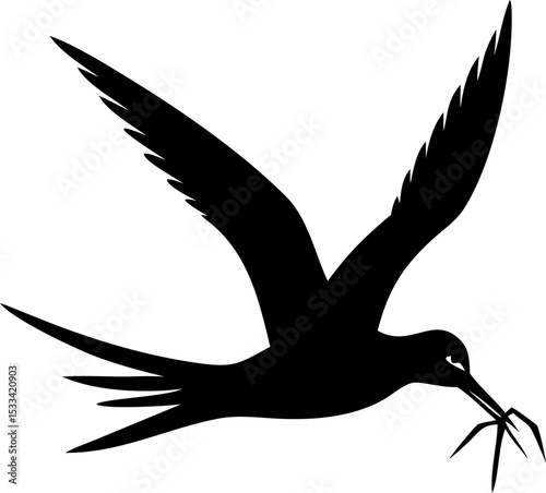 Black Tern Seabird silhouette - Vector illustration Perfect for Tattoo or Logo Design